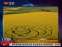 《北京您早》英国惊现巨大花朵状麦田怪圈视频