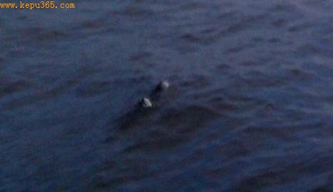 英国渔夫意外在尼斯湖拍到疑似水怪照片(图)