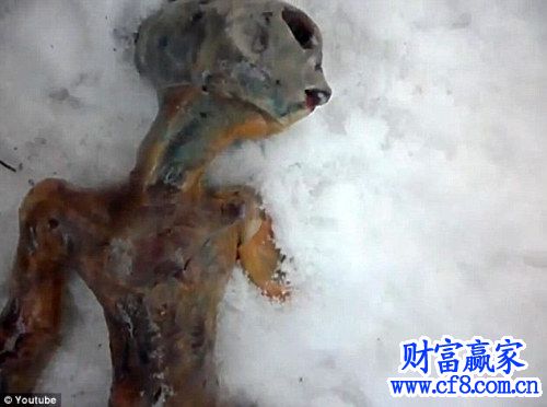 俄罗斯外星人尸体被女子存冰箱 冷藏时间达2年