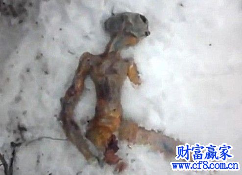 俄罗斯外星人尸体被女子存冰箱 冷藏时间达2年