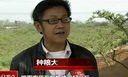 广汉“麦田怪圈”遭质疑 官方回应为创意旅游视频