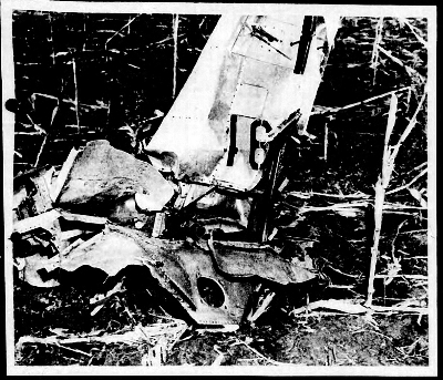 曼特尔事件中坠毁的战机残骸图片来源：“蓝皮书计划”报告