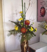 �������ͼ