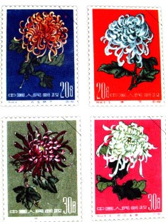 �������ͼ