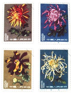 �������ͼ