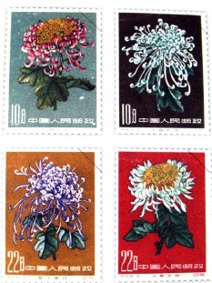 �������ͼ