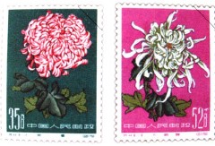 �������ͼ