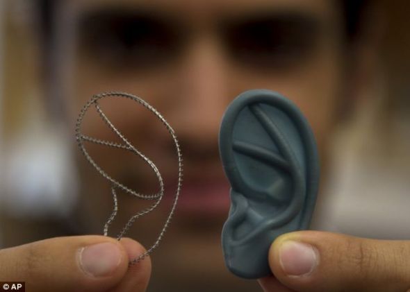 波士顿实验室里为人耳再造设计的钛金属框架（左）和一个三维立体塑料耳朵模型（右）