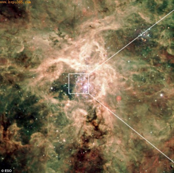 新发现的巨型恒星位于蜘蛛星云的中心，拥有300个太阳质量，亮度比太阳大1000万倍