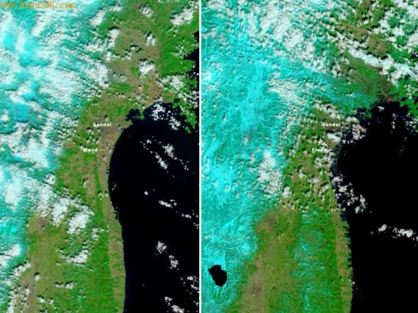 美国卫星拍摄仙台附近海啸前后对比图