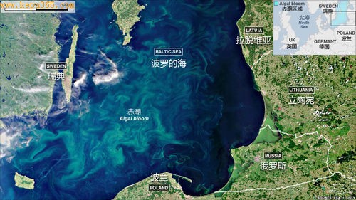 从卫星图上可以看到，波罗的海被庞大的赤潮所笼罩