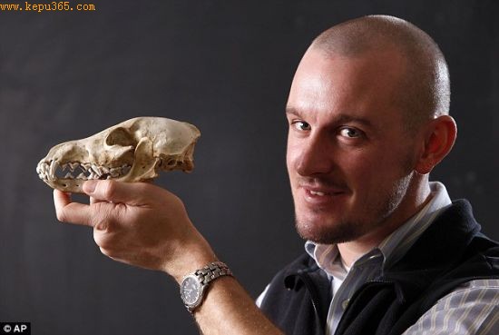 研究人员塞缪尔・贝克纳普三世与家狗头骨合影留念。发现犬骨碎片化石时，他正对风化的人类粪便进行分析
