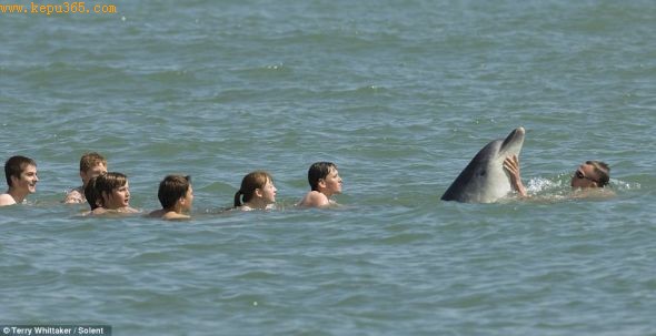 英吉利海峡，一只海豚和一群孩子一起玩耍