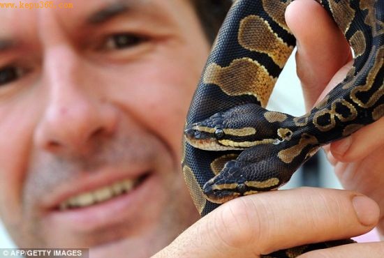 养蛇人斯特凡・比洛嘉梅尔表示，这是目前有记录的第二条双头蟒蛇