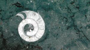 “螺蛳”化石