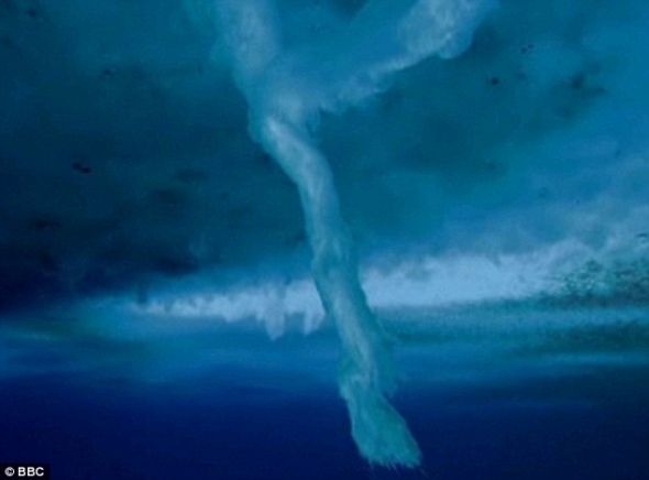 可怕的冰柱沉入海底并随着时间的推移和周围海水的冻结不断增大