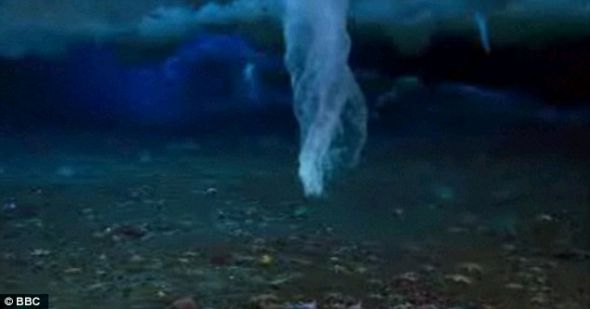 冰柱抵达海床，周围能够看到海星的身影。在体积增大到一定程度后，冰柱发生破裂