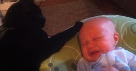 Stewie轻轻抚摸哭闹小宝宝的头。