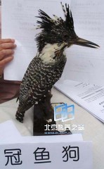 �������ͼ