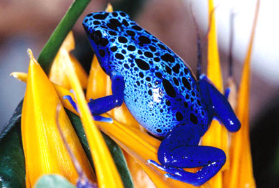 �ҿ����ܶ��԰��أ����ؿ������Ա���ʳ����(ͼ)