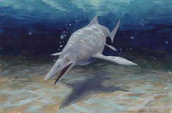 �ƽ���������֮��(ͼ)