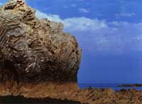 ���Һ����ĺ�ʴ��òd������ʯ̲�ϵĺ�ʴƽ̨