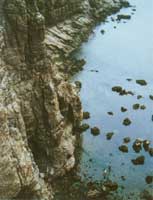 ���Һ����ĺ�ʴ��òg����ƽ̶���ϵĺ�ʴ���񷫴�һ���߸ߵ������ں�����