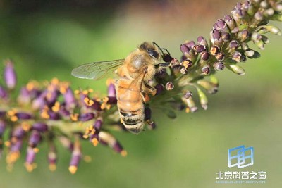 ����ͨѶϵͳ(ͼ)