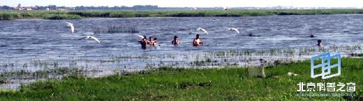 �������ͼ