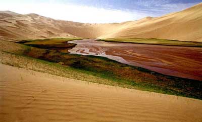 ������ɽ����ԭ������׳��