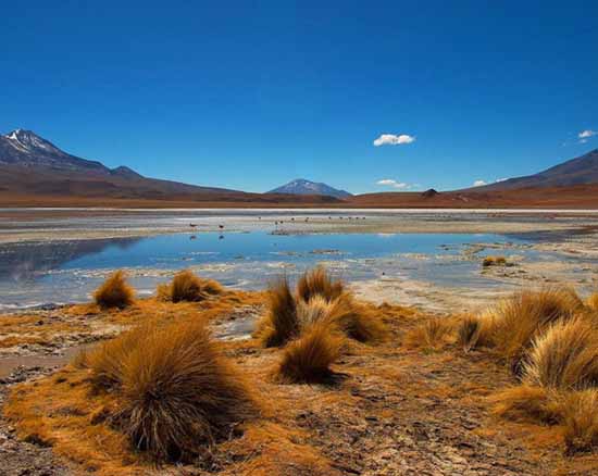 һƬε���İ���˹ɽ(��ͼ)