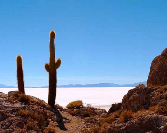 һƬε���İ���˹ɽ(��ͼ)