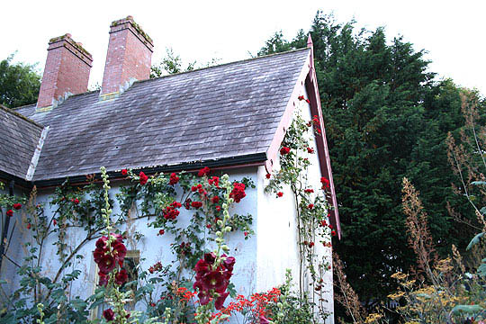 人民网房产城建频道