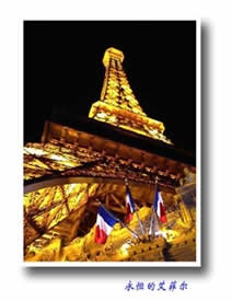 ����-���ƶ�����