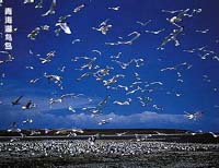 �ຣ�ຣ����