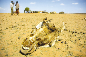 ����ĩ��