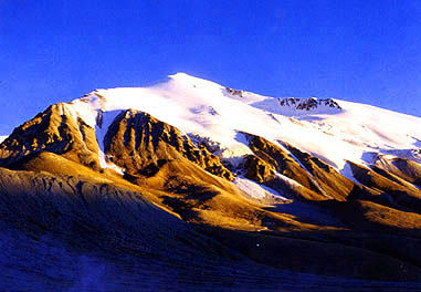 �ɿ�����