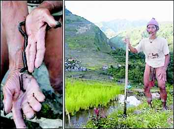 �����Ų�,���