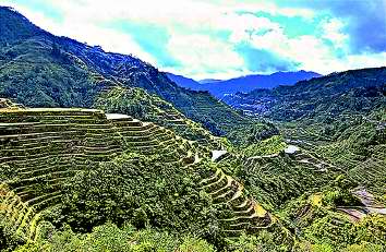 �����Ų�,���