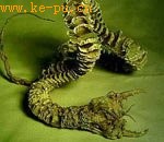 ȫ��ʮ�����ع���