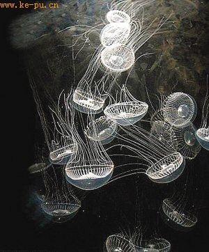 ʮ���������ȫ���ů�����������ǡ�̺�ӡ�