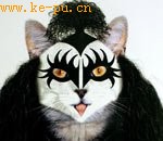 ����ҡ����������