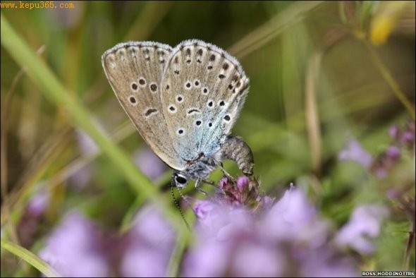 ���������Ѵ���¼