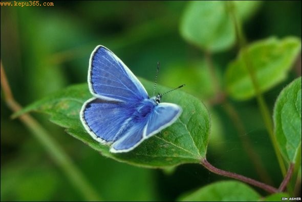 ���м���