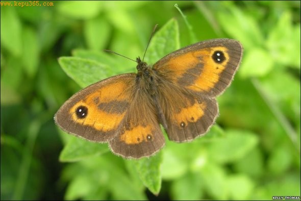 �����˺���