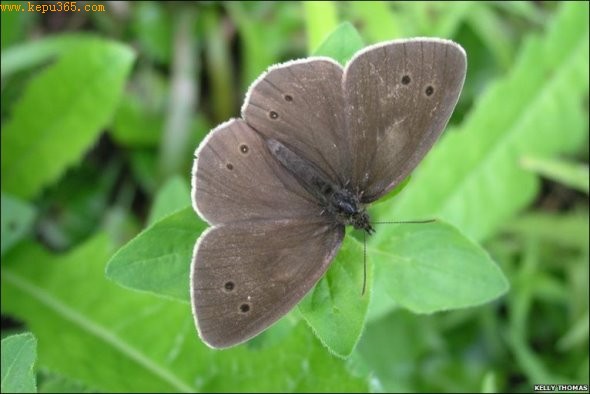 С������