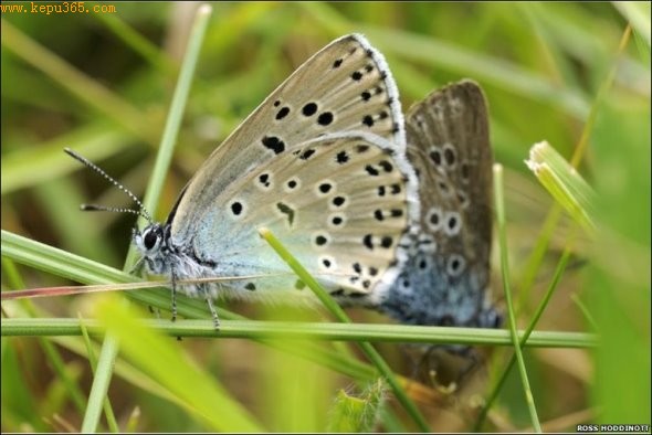 �ι۴�����������