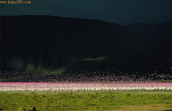 С������