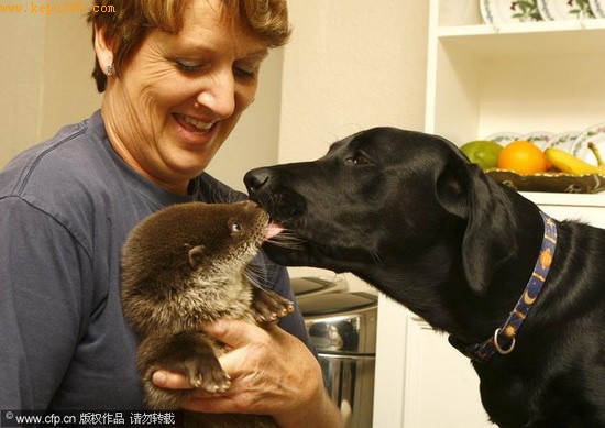 ˮ̡�¶�����������Ȯ�����ѡ�