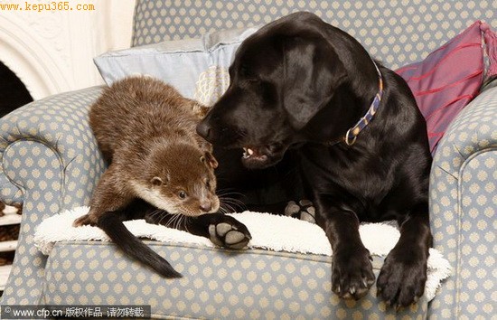 ˮ̡�¶�����������Ȯ��һ��